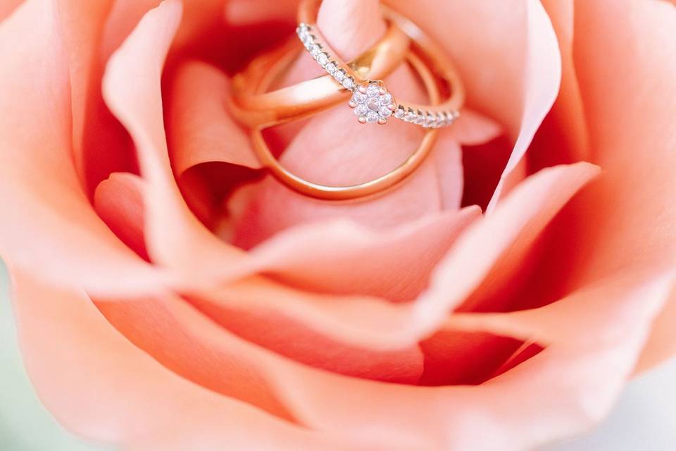 Anillos