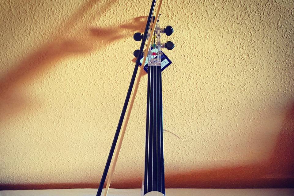 Violín