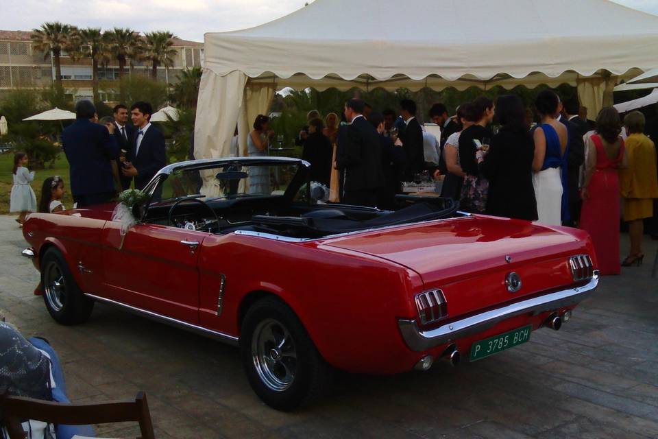 Ford Mustang desde atrás