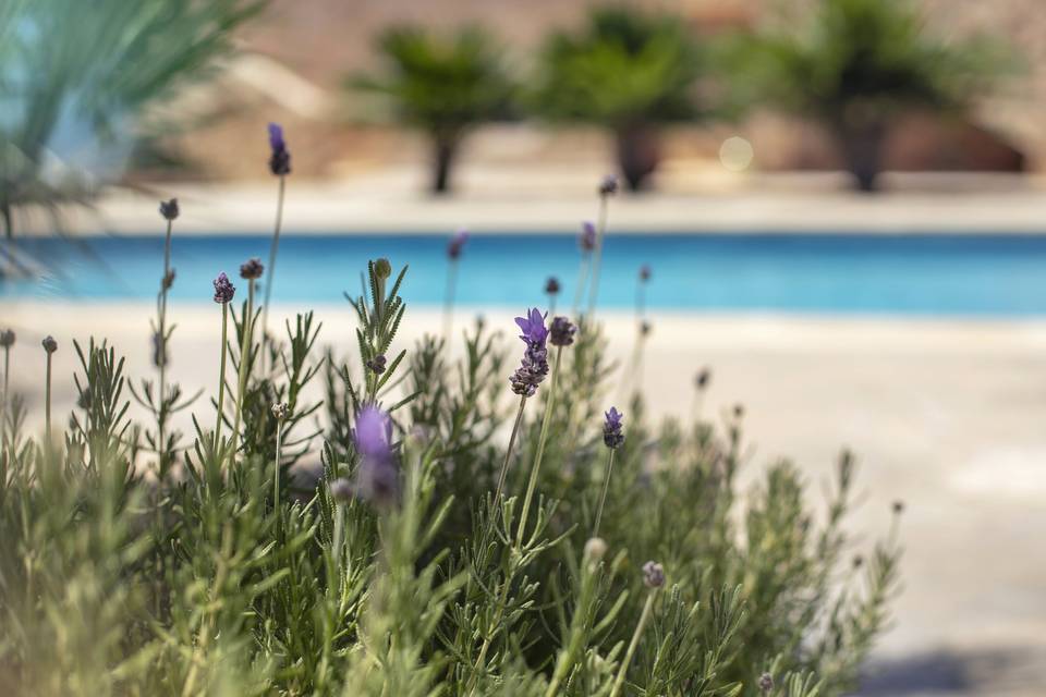 Detalle de la zona de piscina