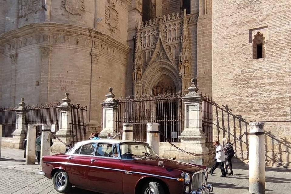 Rover p5