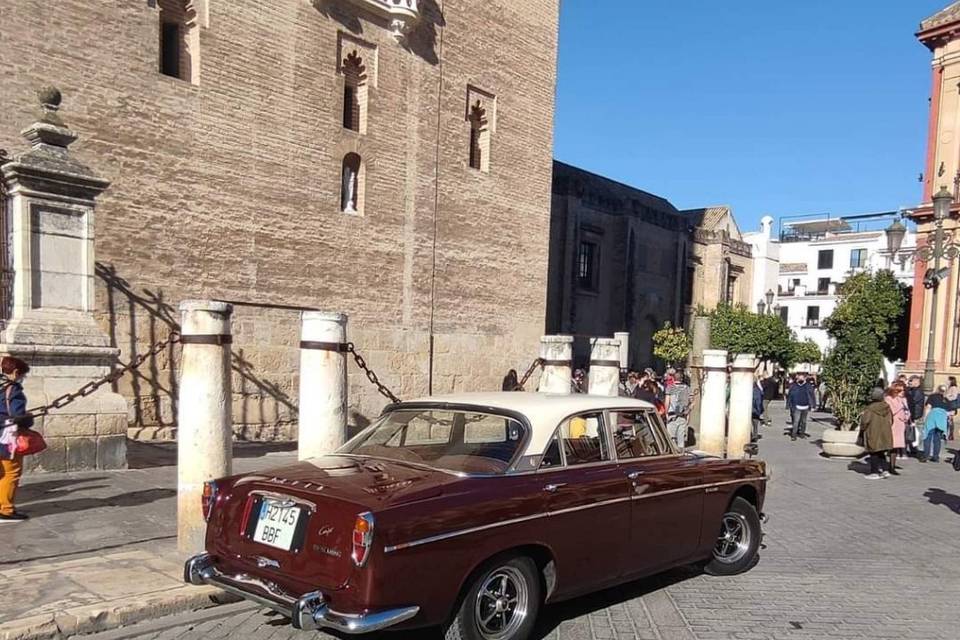 Rover p5