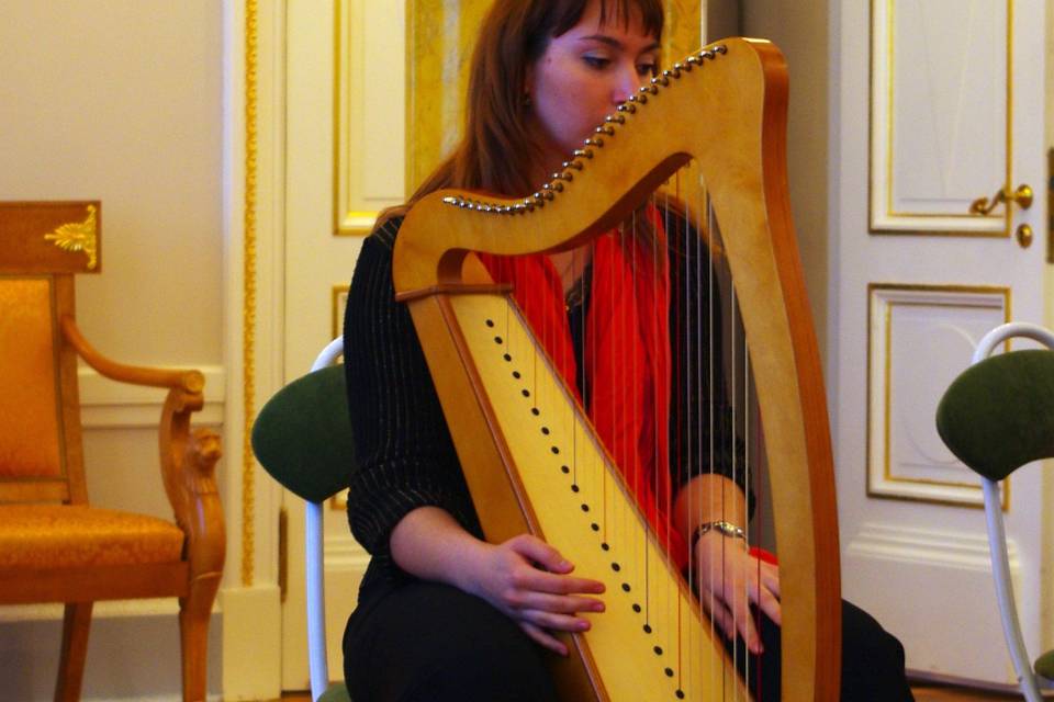 Concierto en el Palacio de San Petersburgo