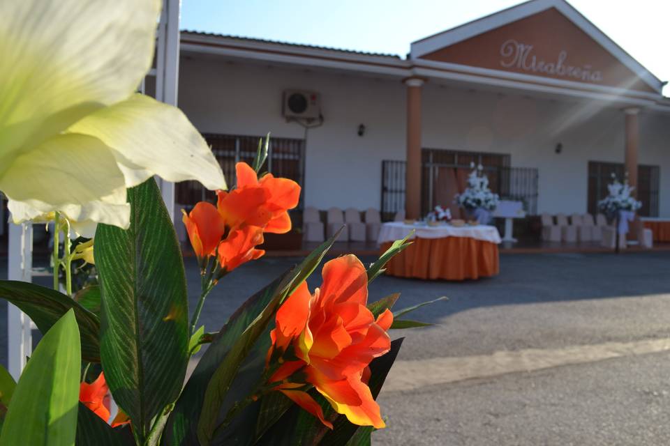 Terraza ambientada para ceremonia