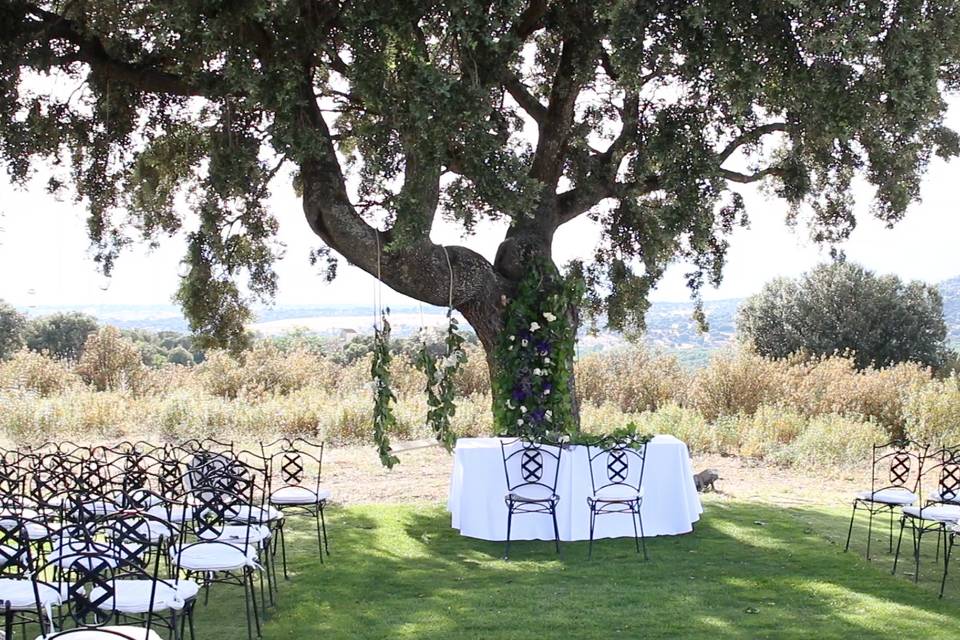 Ceremonia