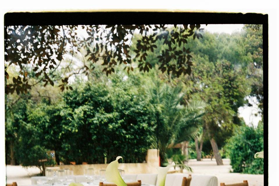 Boda en Jardines de Abril