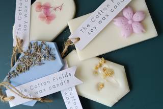 The Cotton Fields