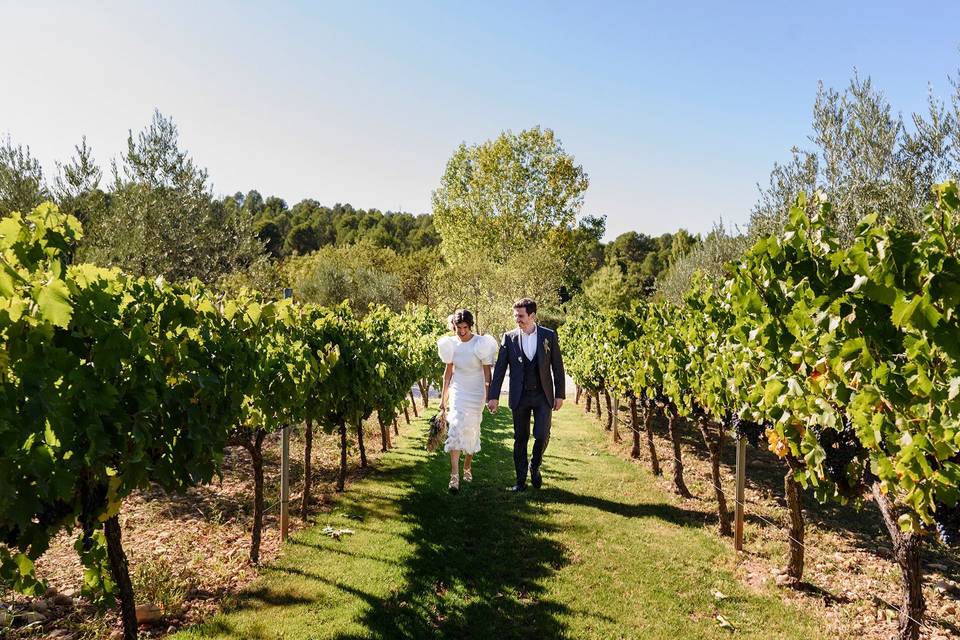 Novios llegando a la ceremonia