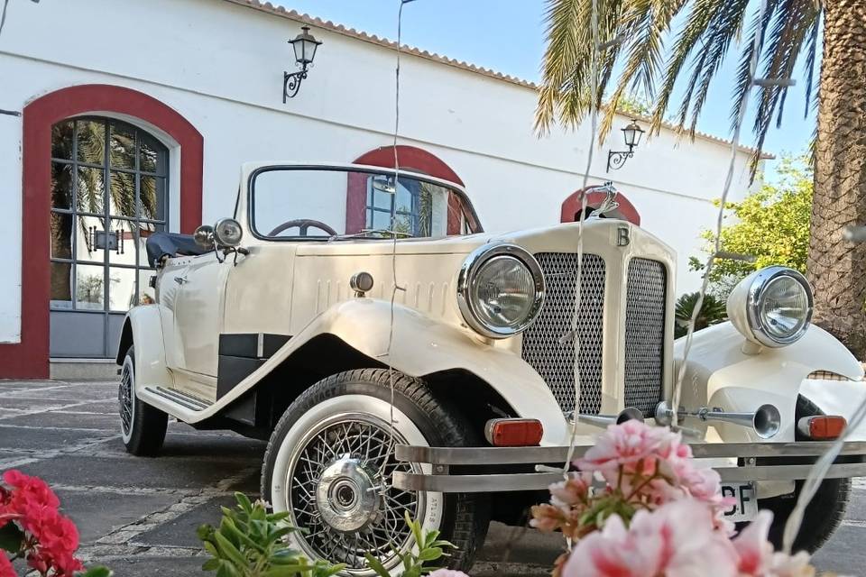 Beauford