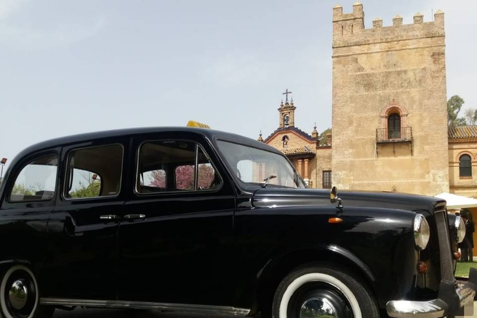 Taxi Londinense