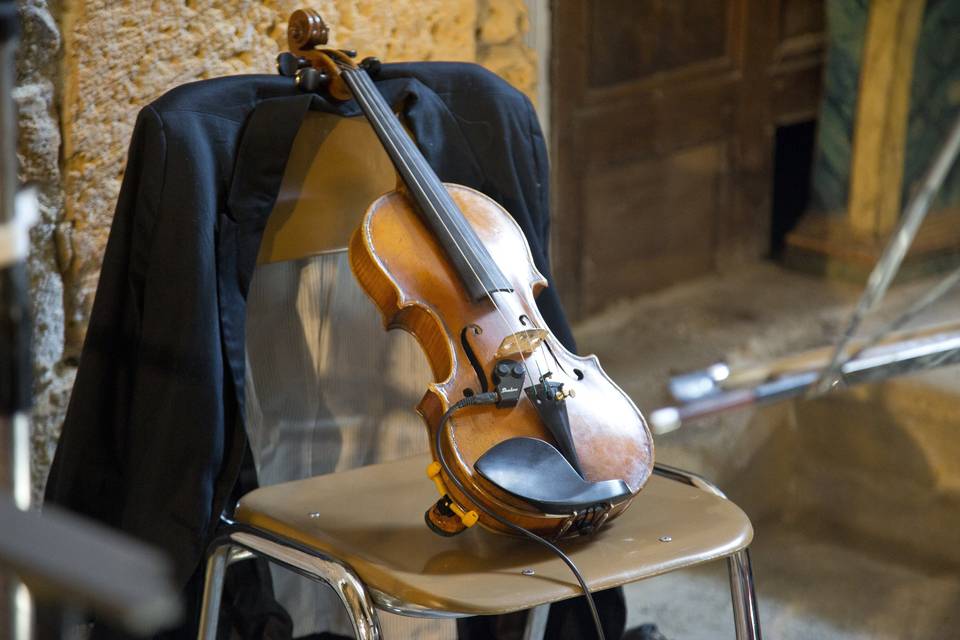 Violín