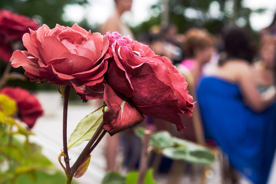 Detalles de la ceremonia