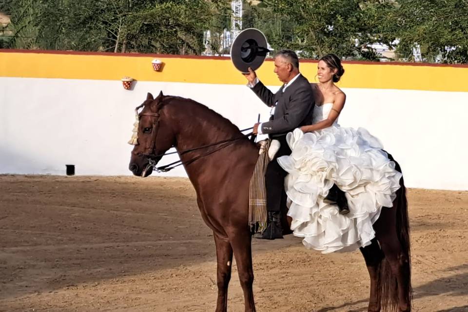 Plaza de toros