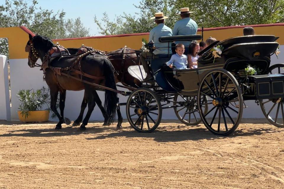 Photocall con caballos