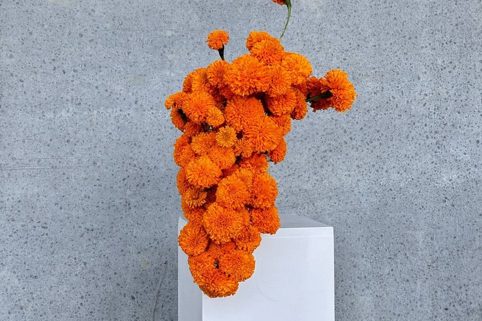 Inspiración centros