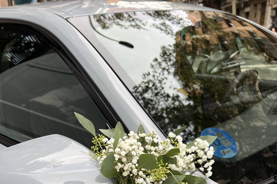Decoración Coche