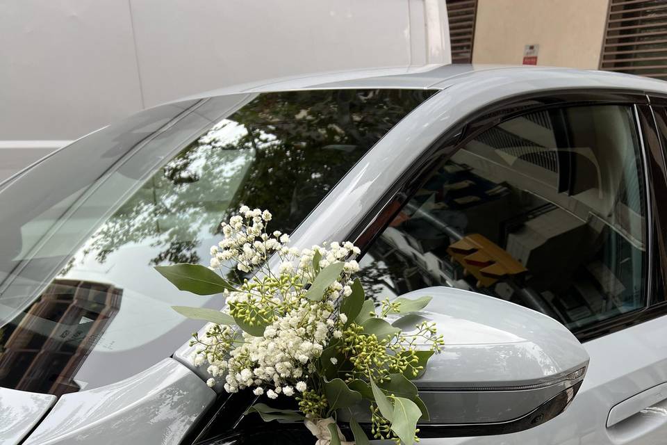 Decoración coche