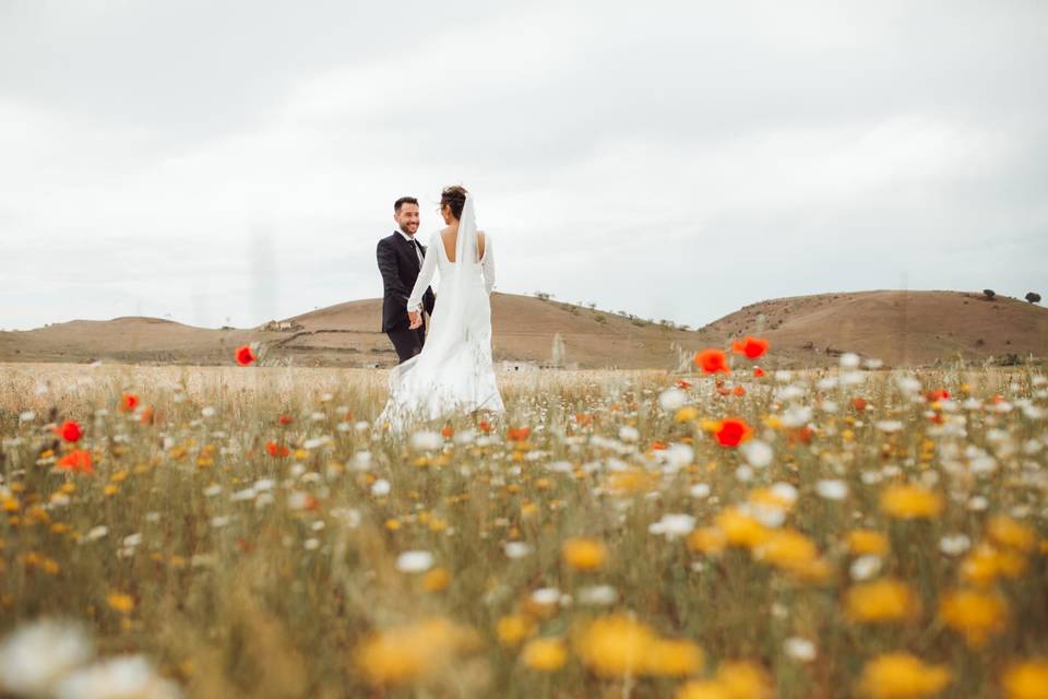 Novios