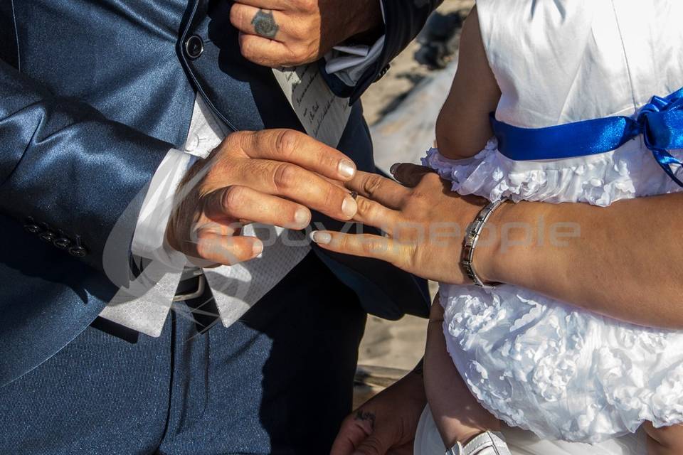 Anillos de boda