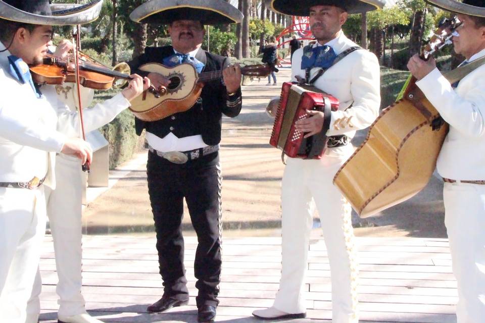 Mariachis en Valencia