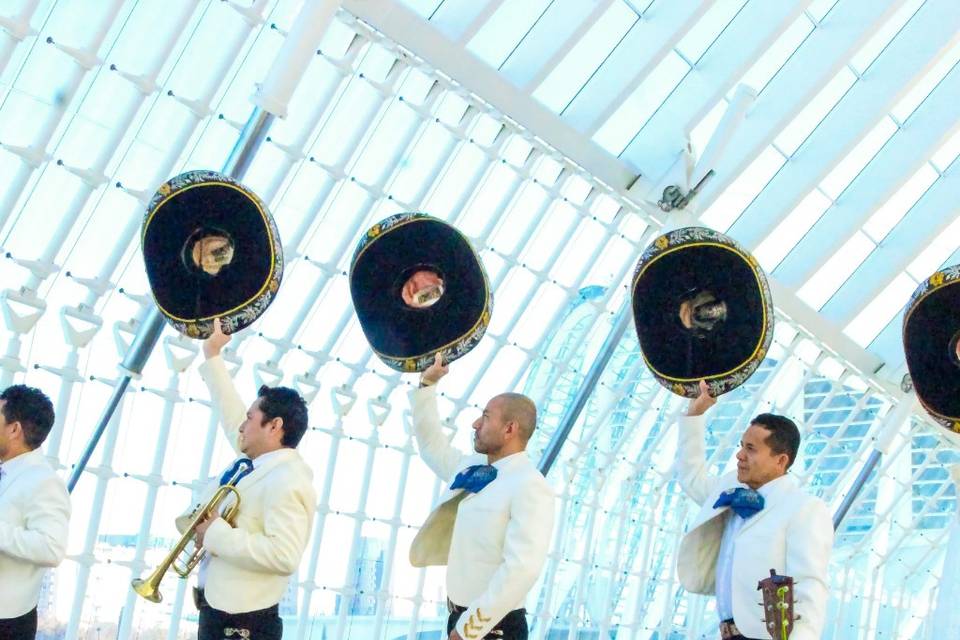 Mariachis en Valencia