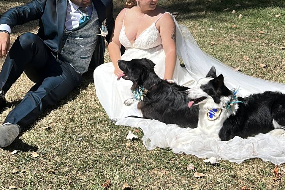 Fotos de novios