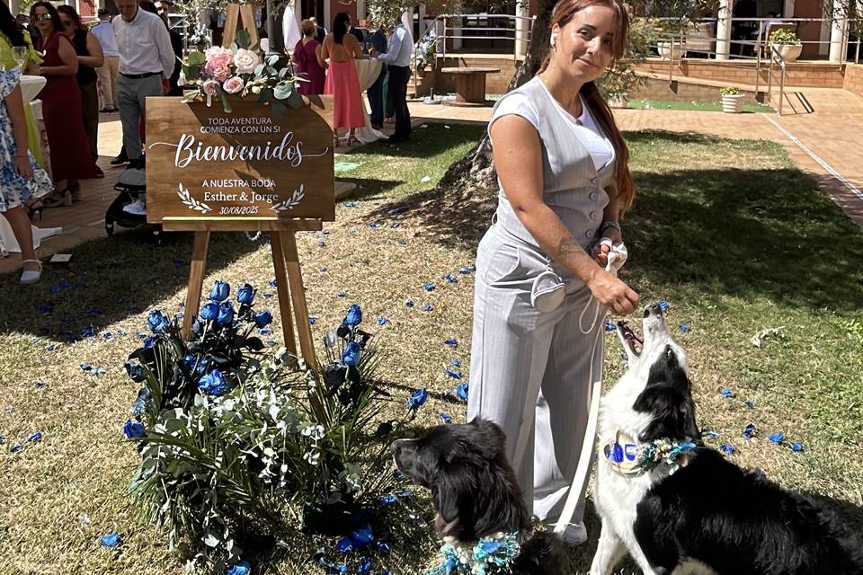 Recibiendo a los invitados