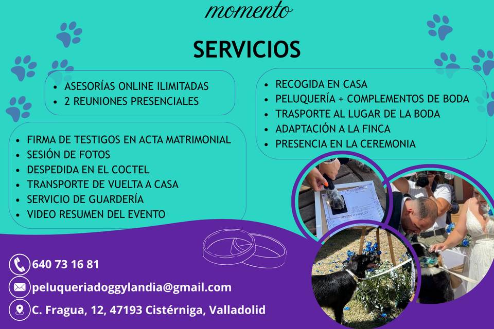 Explicación del servicio