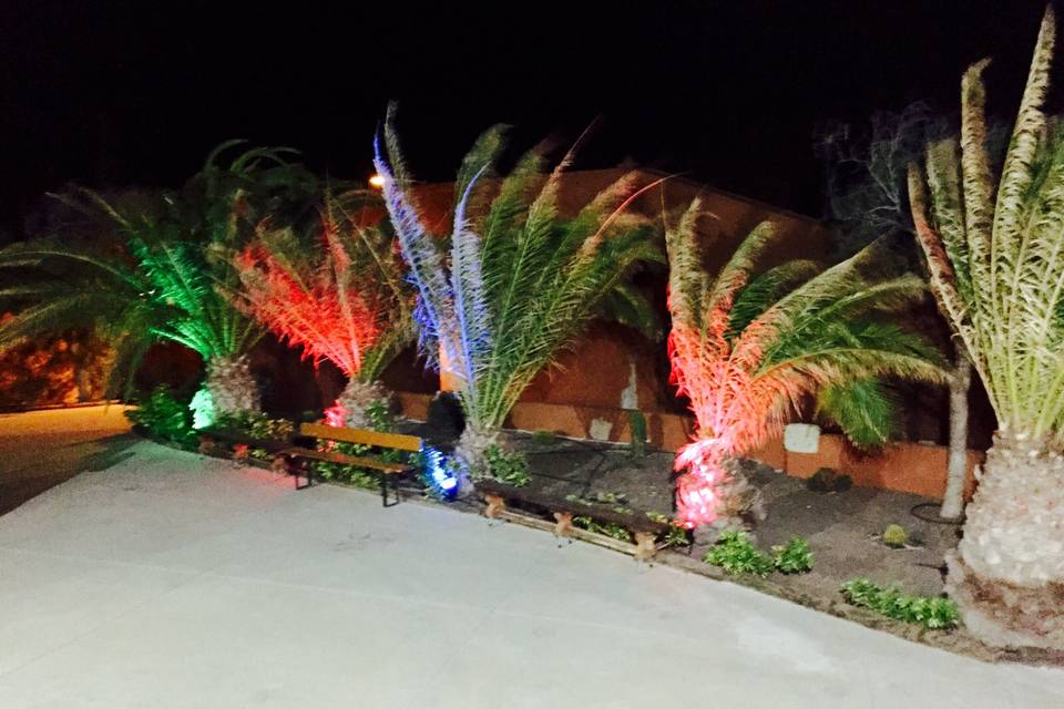 Luces de jardines