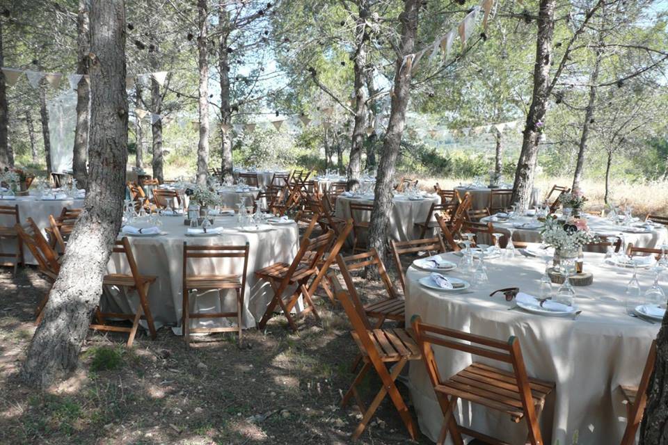 Boda campestre