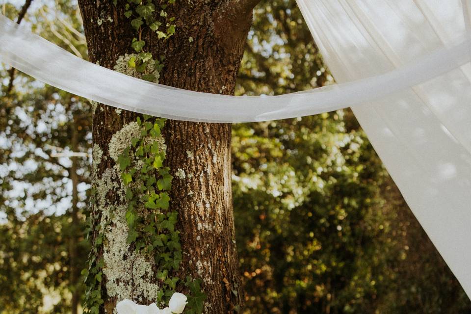 Combinación de blanco y negro