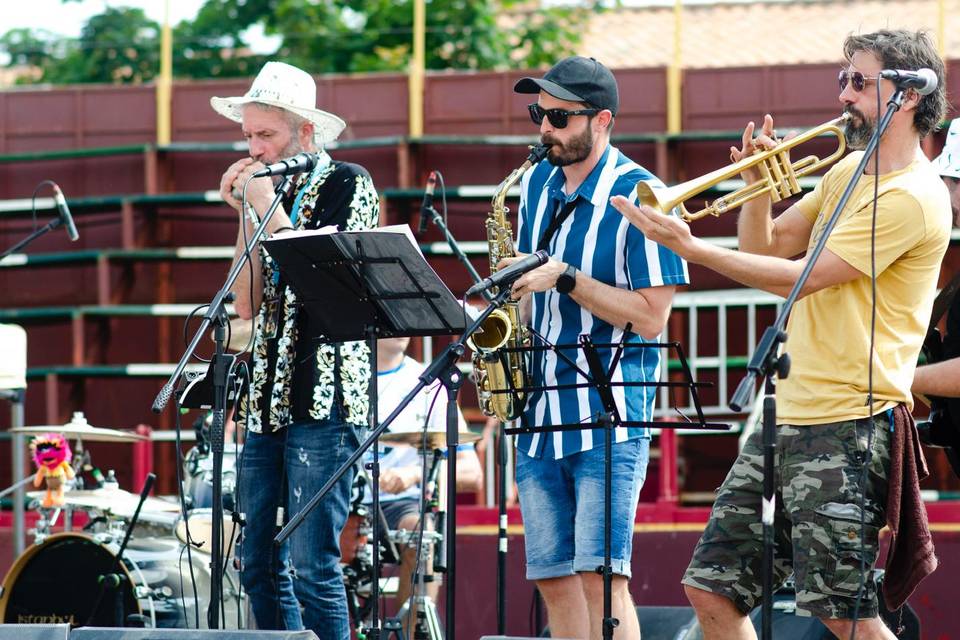 Illogicals & Seven Soul