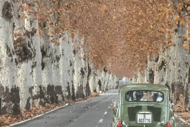 Trayecto a la ceremonia