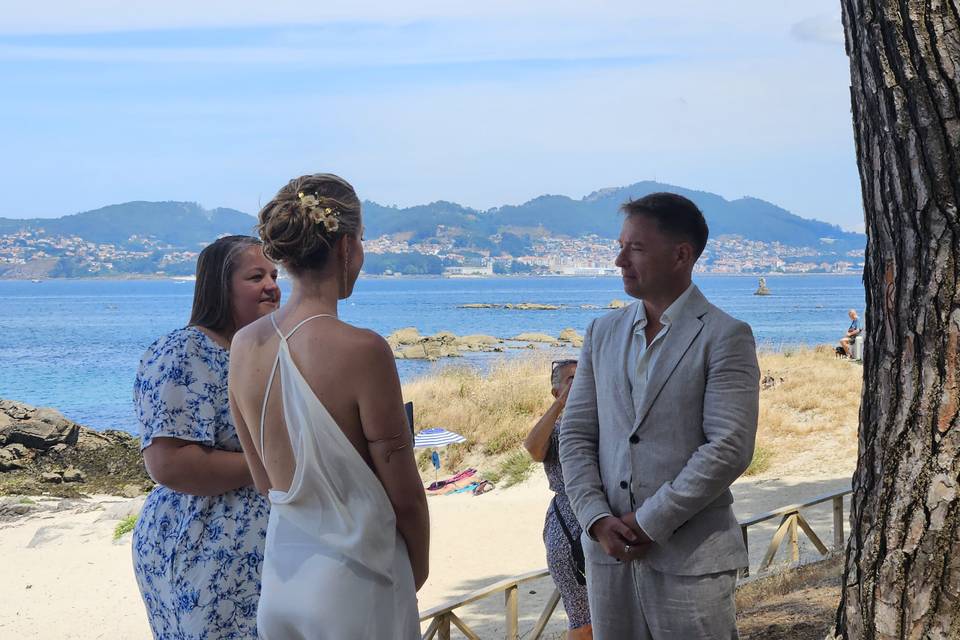 Bodas