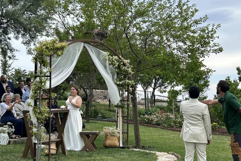 Sonorización ceremonia