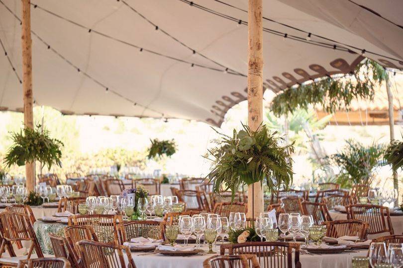 Carpa banquete
