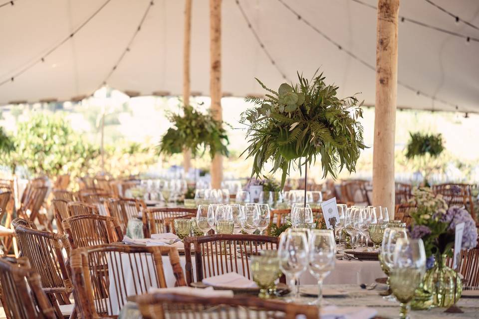 Banquete tipi