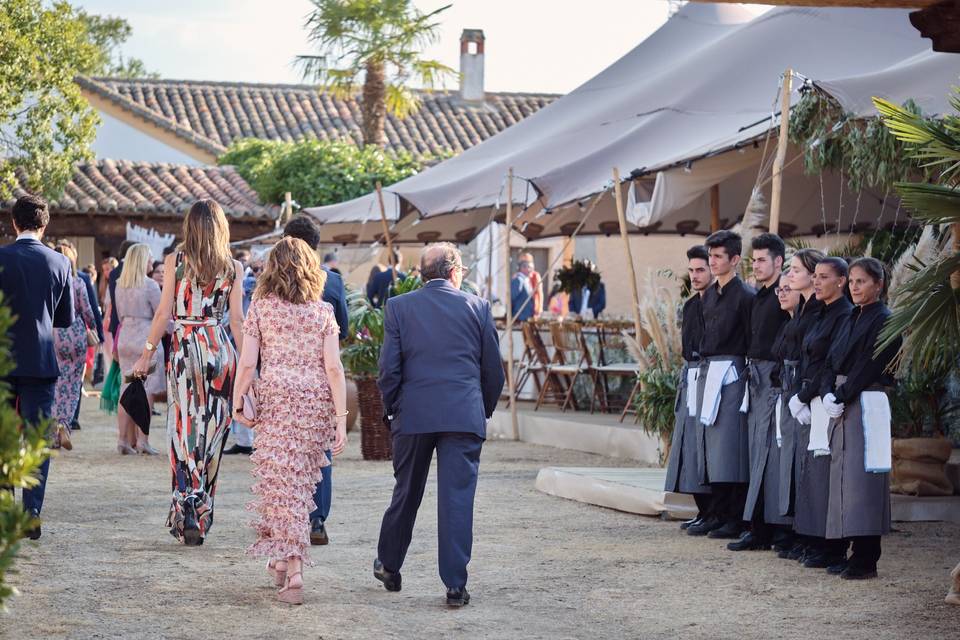 Recepción de invitados