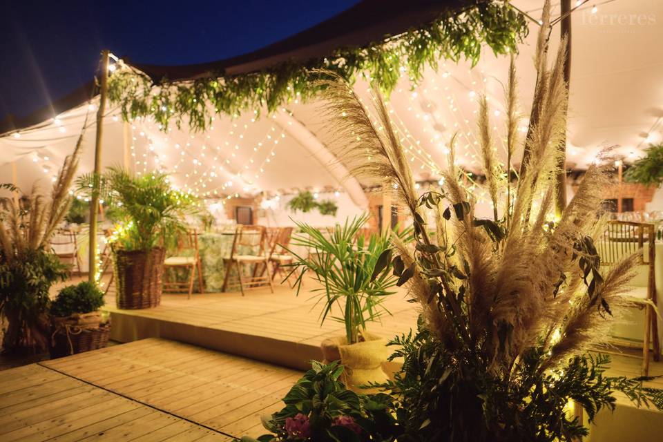 Entrada a la carpa