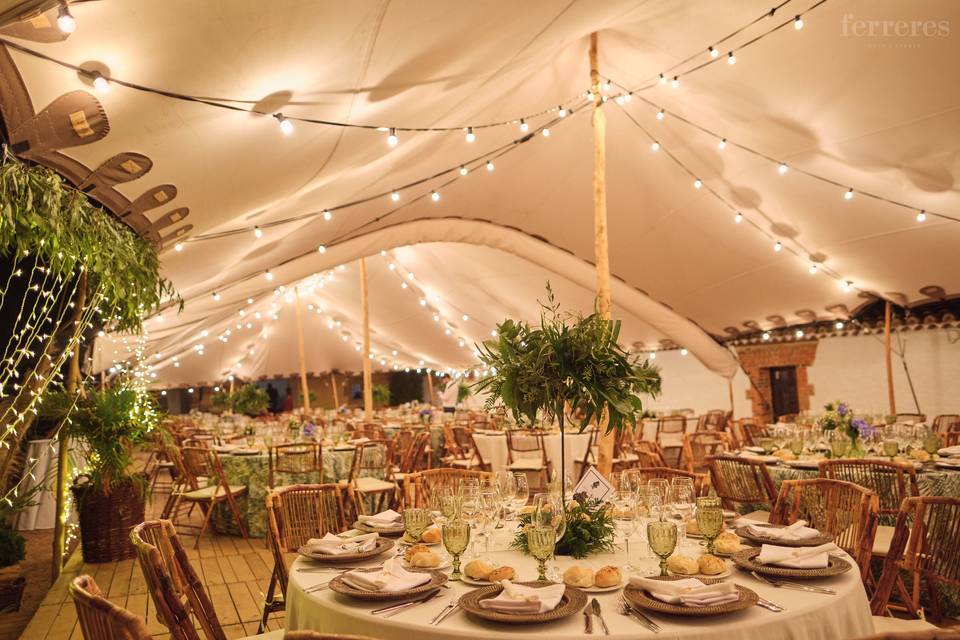 Banquete de noche