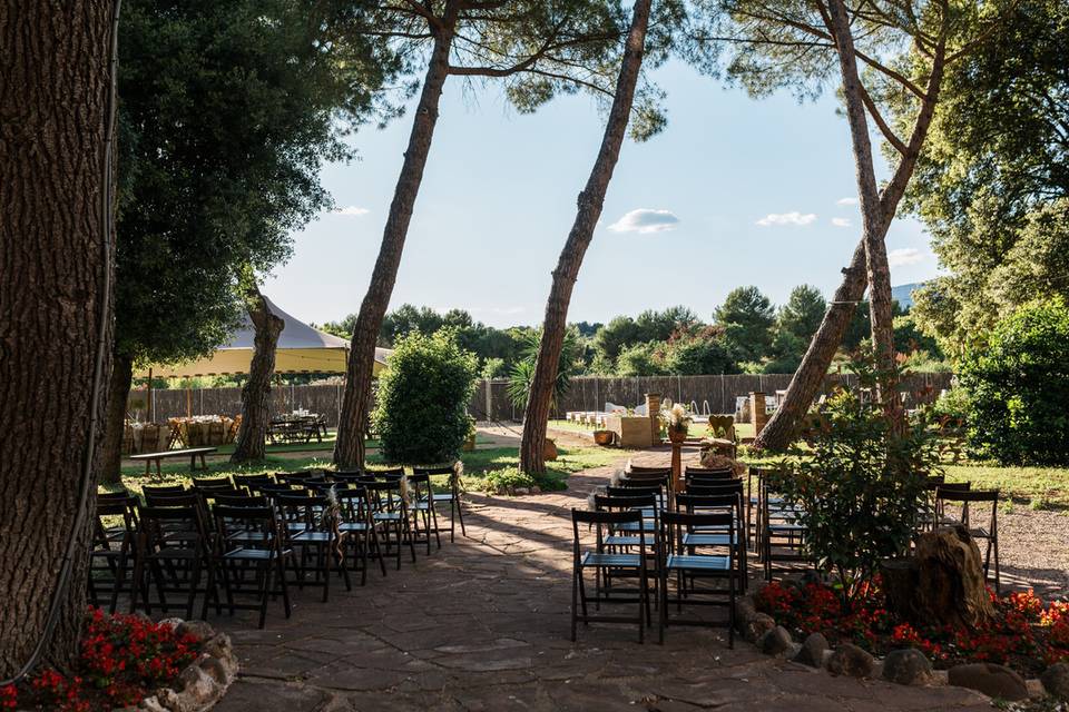 La Pineda de Mas Bonvilar