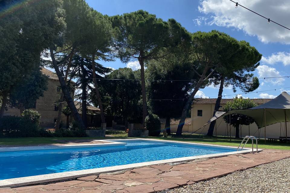 La Pineda de Mas Bonvilar