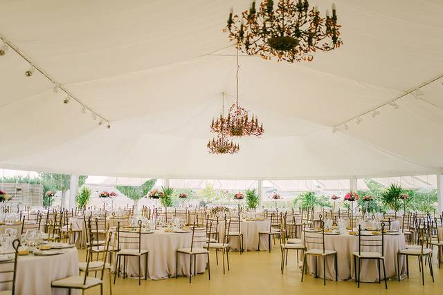 Salón carpa