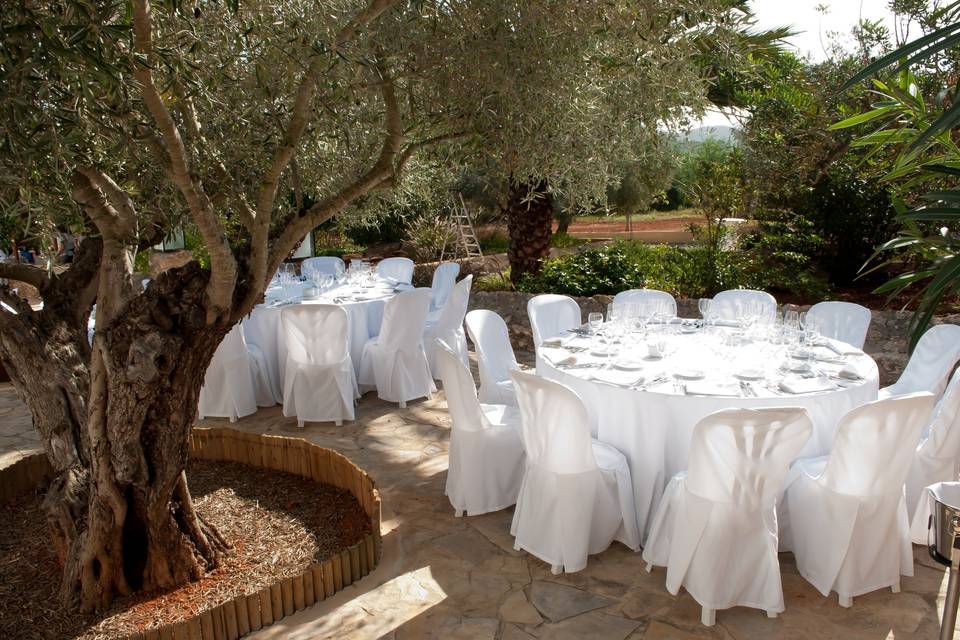 Banquete en el exterior