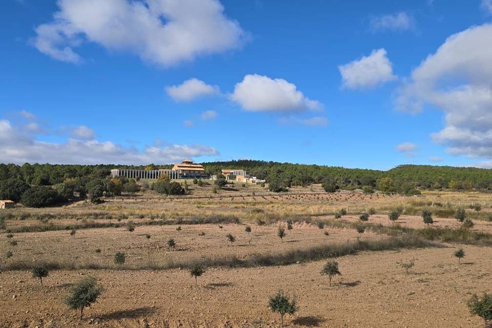 Vistas
