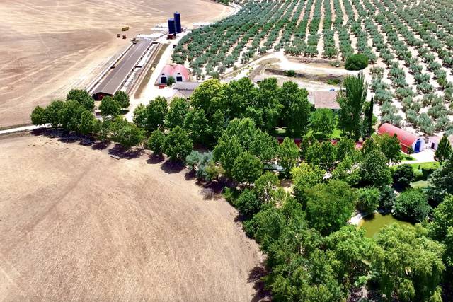 Cortijo las Mozas