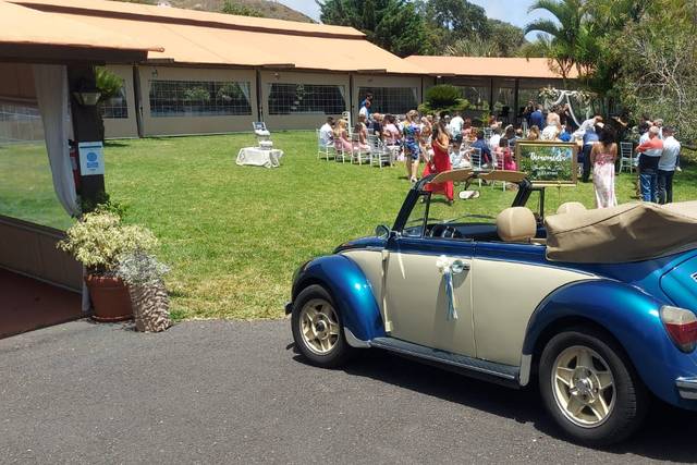 Guillermo - Volkswagen Beetle Cabrio