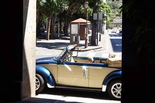 Guillermo - Volkswagen Beetle Cabrio