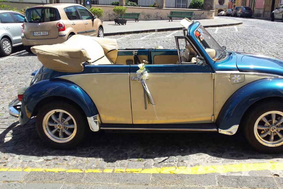 Guillermo - Volkswagen Beetle Cabrio