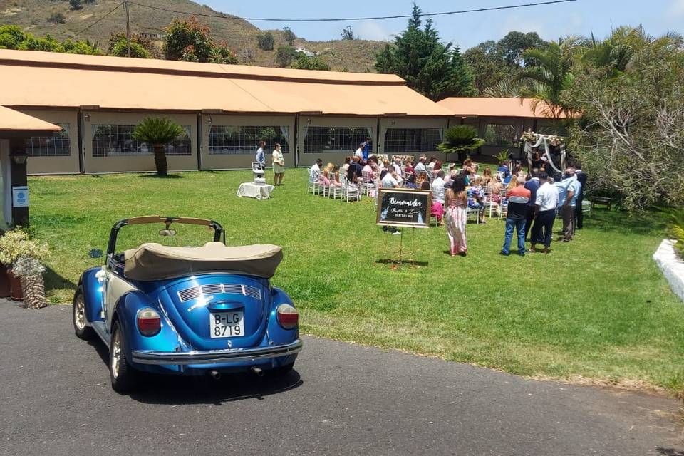 Guillermo - Volkswagen Beetle Cabrio